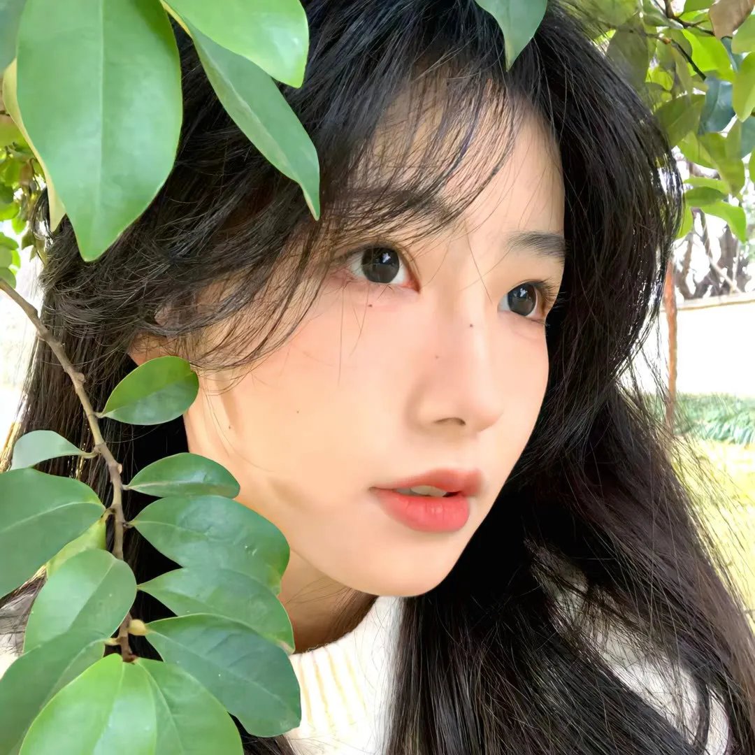电影中的同志封面