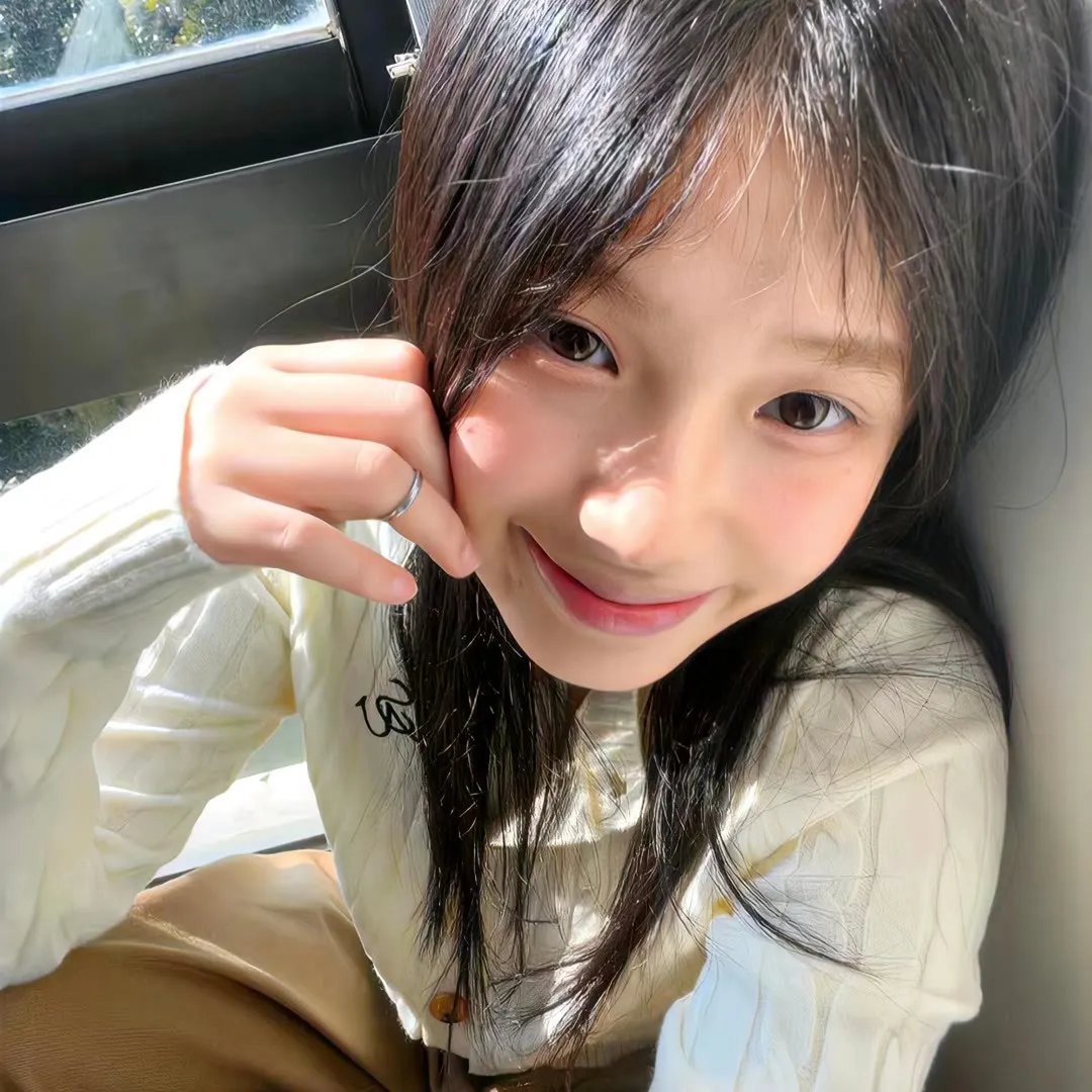 痴情冤狱封面