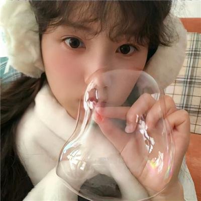 珍禽假意封面